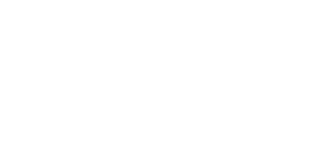 Ibex Web Logo weiß